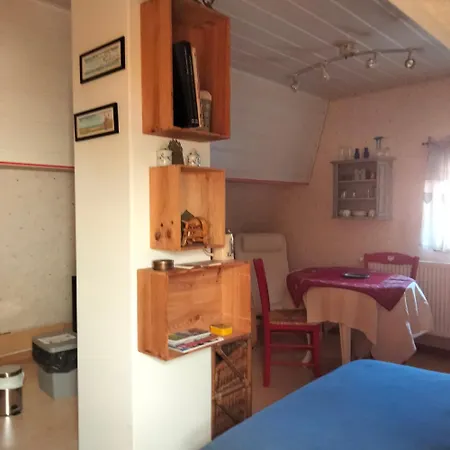 Un Petit Nied Cosy Au Calme, Atypique Obernai