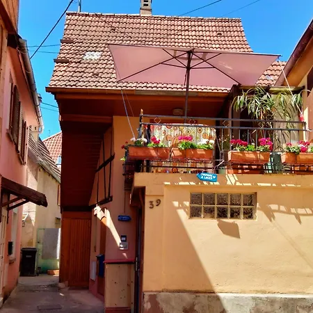 Homestay Un Petit Nied Cosy Au Calme, Atypique
