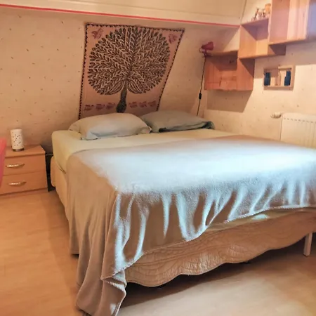 Petit Nied Cosy Au Calme Homestay